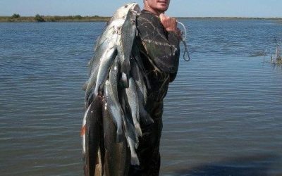 Chandeleur Islands Fishing Trip