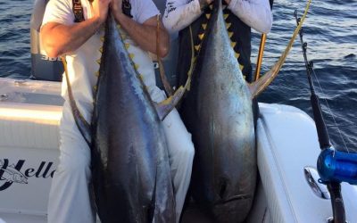 Blue Water Trips